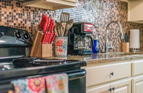 Mahncke Park Apartment | Beautiful Apartment @ The Botanical Gardens #2