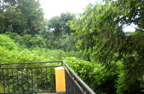 Ambohibao Apartment | Beautiful Artist Villa near Airport