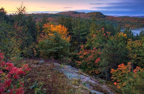 Nobel Cottage | Beautiful Bay in the township of Parry Sound/Nobel