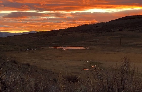 Carbondale Apartment | Beautiful, bright and secluded 2 bedrooms, 1 bathroom