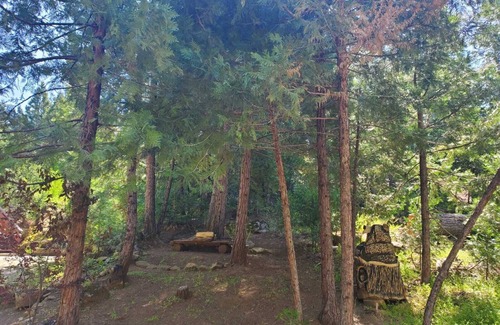 North Fork House | Beautiful Cedar Cabin