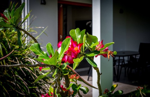 Palm Cove House | Beautiful Cedar Family Getaway Villa - 5 min walk from beach!