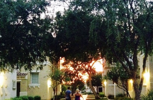 Gilbert House | Beautiful centrally located townhome in The Gardens, Gilbert