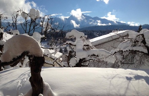 Flims Apartment | Beautiful chalet with fantastic mountain views