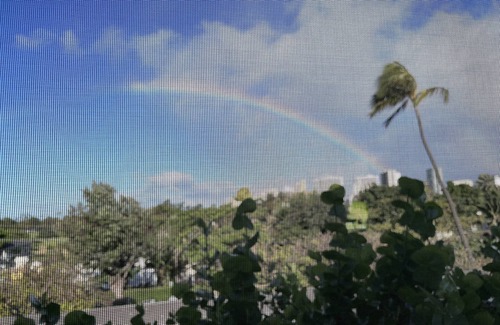 Diamond Head - Kapahulu - St. Louis Condo | Beautiful Condo in the heart Diamond Head Honolulu, HI