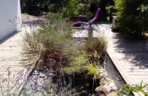 Gourbera House | beautiful contemporary house on raised ground with swimming pool and pool house