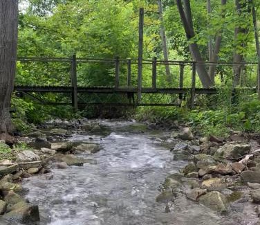 Hamilton Ski Chalet | Beautiful cottage stay!