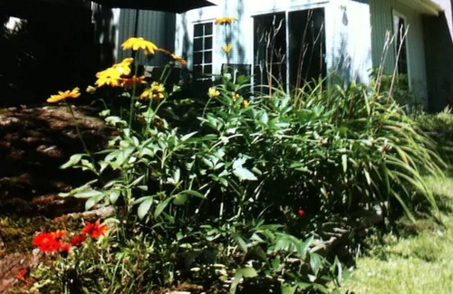 Orford Lake Cottage | Beautiful cottage - The Nymphea by the lake