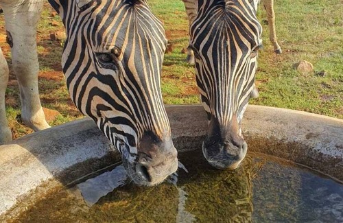 Tierpoort Cottage | Beautiful country side self-catering accommodation in the East of Pretoria