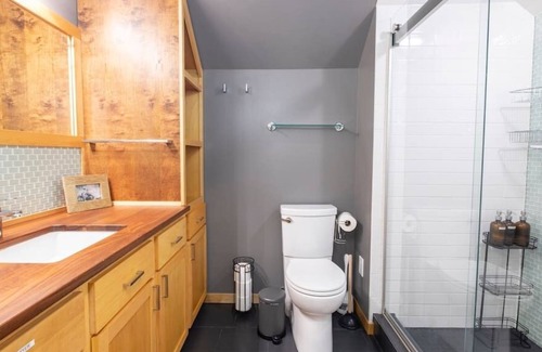 Powderhorn House | Beautiful Cozy House - Historic & Modern! Sleeps 10 - Large Backyard | Garage