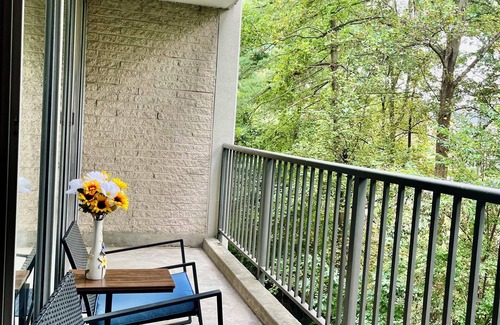 Annandale Condo | “Beautiful, Cozy & Lot of Natural Light Condo!”