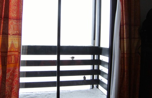 Pla d'Adet Apartment | Beautiful DUPLEX (48m2) Balcony, Superb valley view, 100m Ski slopes, classified 2 *