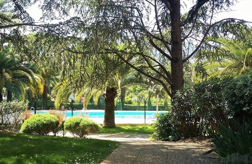 Mandelieu-La-Napoule Apartment | Beautiful 2-room apartment pool view park near sea Cannes