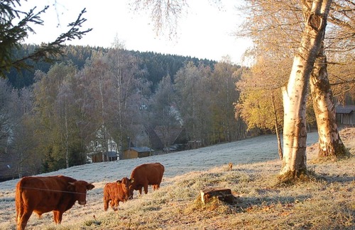 Tanne House | Beautiful holiday home with a view of the romantic Bodetal to relax.