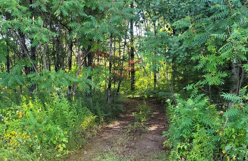 Lakewood House | Beautiful home right on the ATV and Snowmobile trail!
