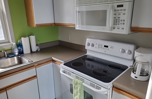 East Jordan Condo | Beautiful Lake Life Condo on Lake Charlevoix with optional boat slip.