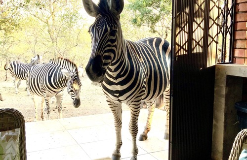 Marloth Park House | Beautiful modern home in the African bush, next to the Kruger National Park.