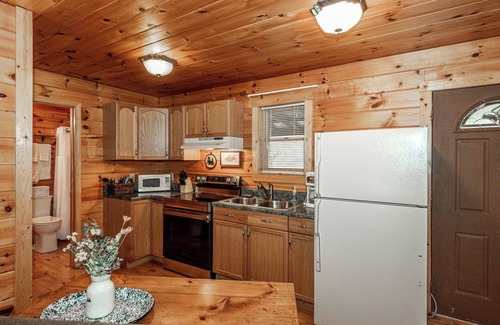 Townsend Cabin | Beautiful mountain cabin with river access. Firepit and wood burning fireplace .