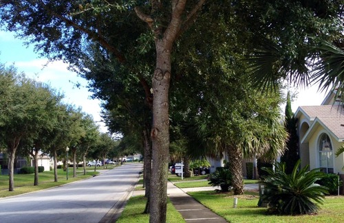 Orange Tree Villa | Beautiful Newly Remodeled Private Home; South-facing Pool-spa; close to Disney