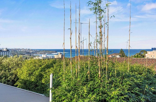 Coogee Apartment | Beautiful Newly Renovated Family Home in Coogee