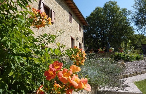 Spedalicchio Apartment | Beautiful old stone farmhouse with pool in Umbrian hills