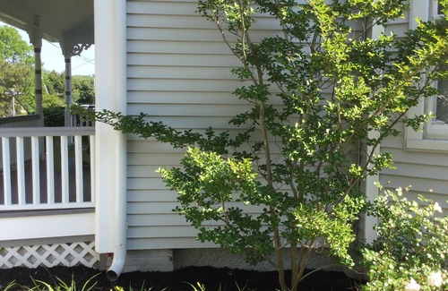 Cape May Point House | Beautiful Old Victorian With New, Fresh, Comfortable Inside. Easy Living