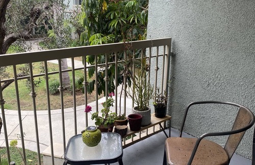 Venice Apartment | Beautiful one bedroom walking to Venice Beach