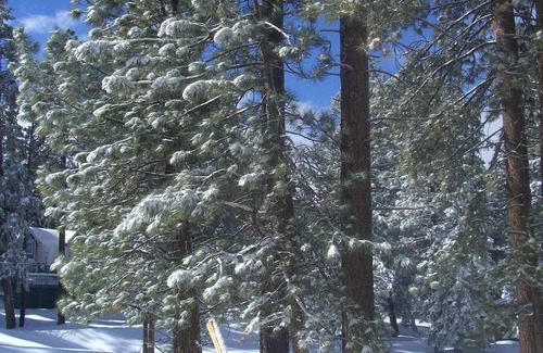 Upper Moonridge Cabin | Beautiful & Peaceful Home: Winter, Summer, Fall & Spring. .5 from Bear Mountain