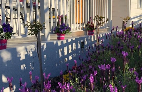 West Launceston Bed & Breakfast | Beautiful private, quiet B&B