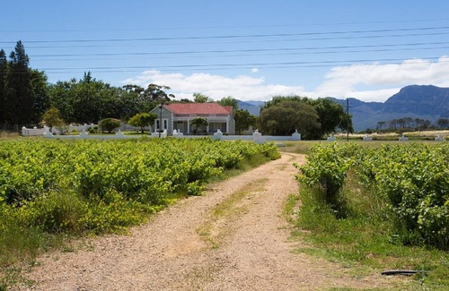 Paarl House | Beautiful Private Farm House With Vineyards On Doorstep