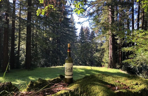 Los Gatos House | Beautiful Redwood Forest Retreat Stunning View 45acre WiFi