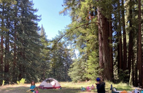 Los Gatos House | Beautiful Redwood Forest Retreat Stunning View 45acre WiFi