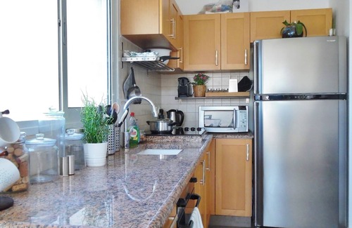 Tel Aviv City Center Apartment | BEAUTIFUL RENOVATED 2 BR ROOF APT IN CENTRAL TLV