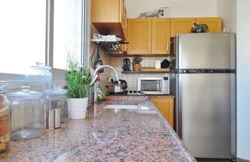 Tel Aviv City Center Apartment | BEAUTIFUL RENOVATED 2 BR ROOF APT IN CENTRAL TLV