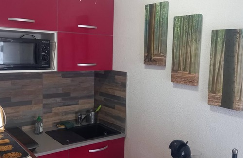 La Saline Les Bains Apartment | beautiful studio 150m from the beach