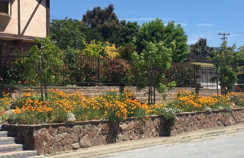 Noble Apartment | Beautiful setting, peaceful. Ground floor unit near historic Alum Rock Park.