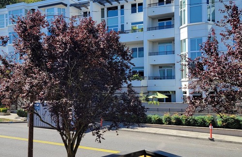 Nob Hill Condo | Beautiful Space in the Heart of NW Portland's Alphabet District