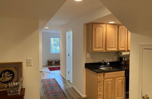 McLean Apartment | Beautiful Spacious 1BR in McLean