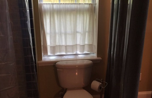 Lakewood Apartment | Beautiful Studio located in San Marco. Large fenced in yard for a dog.