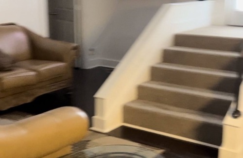Bloomfield Apartment | Beautiful Suite with separate bedroom, great room, bathroom.