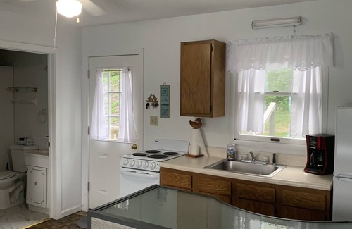 Hammondsport Cottage | Beautiful, unobstructed view of Keuka Lake