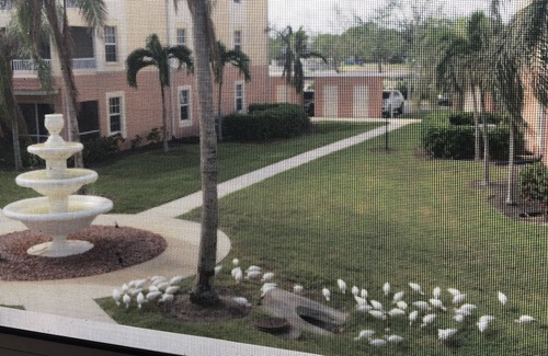 Fort Myers Apartment | Beautifully furnished apartment, 150 sqm, large balcony, attractive residential complex