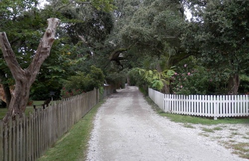 Ocracoke House | Beautifully Restored Island Home Nestled Among Live Oaks