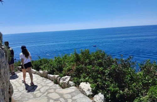 Saint-Jean-Cap-Ferrat Apartment | Beauty