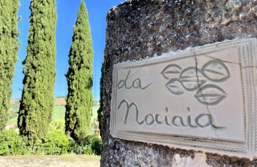 Tavullia Bed & Breakfast | BeB La Nociaia