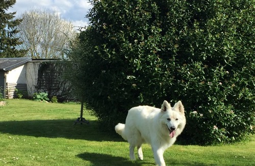 Beaufour-Druval Ski Chalet | Bed and breakfast with terrace in a detached chalet in Normandy