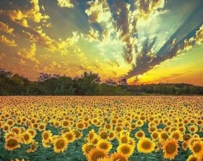 Lauro Bed & Breakfast | Bed and breakfast Il Girasole