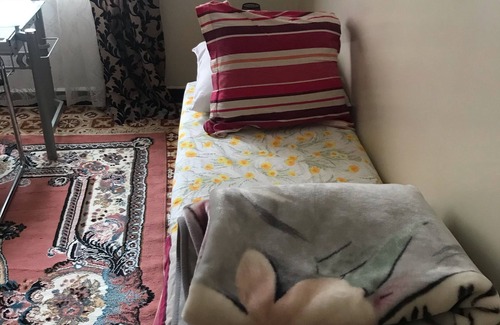 Algiers House | Bed and breakfast in a beautiful house with a superb view