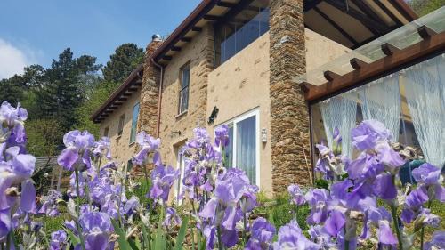 Seravezza Bed & Breakfast | Bed and Breakfast Tenuta delle Stelle