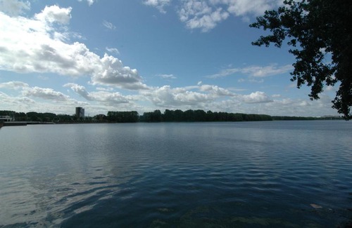 Nieuw-West Bed & Breakfast | Bed and Breakfast Tulip Gallery